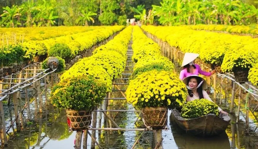 vietnam-tour-packages-17